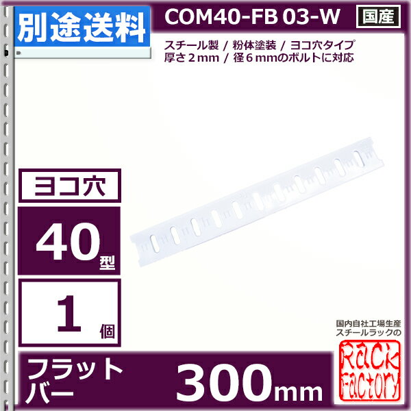 �����40�� �ե�åȥС� 300mm