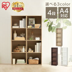 https://thumbnail.image.rakuten.co.jp/@0_mall/rack-kan/cabinet/08800146/264884-rank1.jpg