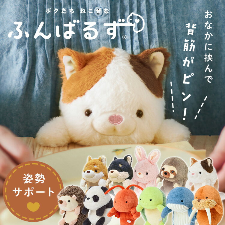 ふんばるず ぬいぐるみ 猫背 お腹にはさむ 姿勢をサポート デスクワーク 仕事 勉強 在宅ワーク 抱き枕 クッション イヌ ウサギ ネコ パンダ ハリネズミ かわいい ねこ背 猫背クッション 猫背対策 ドリームズ *【B】