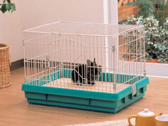 ������Ź��ۤ�����P5�ܡۤ����� ������ ���Τ� ������ ��ӥåȥ����� UK-650 �ѥ��ƥ륰�꡼�� �����ꥹ�������