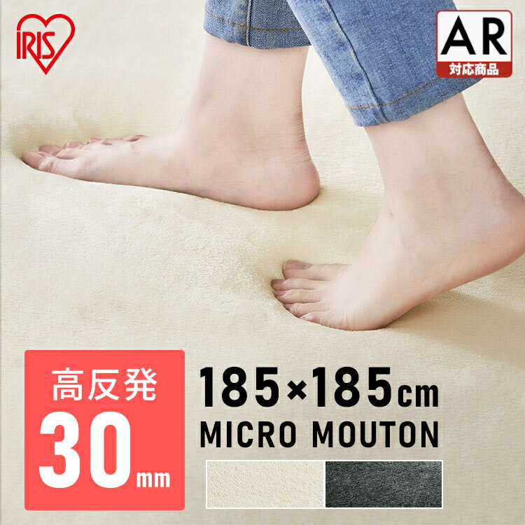 ラグ 厚手 2畳 高反発 高反発ラグ 北欧 おしゃれ カーペット ACRM-1818 ラ・クッションラグ 極厚 ラグマット マイクロムートンタイプカーペット センターラグ ホットカーペット対応 床暖房対応 滑止め 防音 冬用 オールシーズン 厚い かわいい【AR対応】[HX1027]のサムネイル