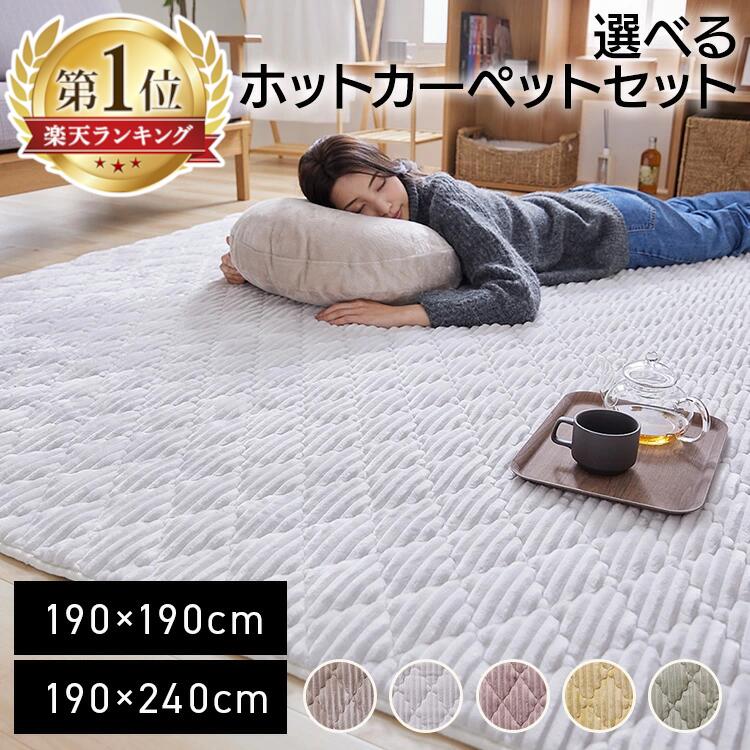 ラグ 厚手 洗える 2畳 3畳 滑りにく