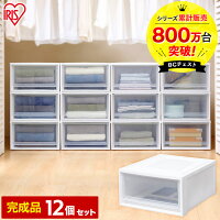 収納ボックス 押入れ収納 収納ケース 完成品【1個あたり約995円】【12個セット】衣装ケース チェスト BC-L アイリスオーヤマ 衣装ケース 衣装ボックス 収納 収納ボックス 衣類収納 収納家具 クローゼット