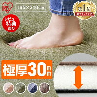 低反発 ラグ カーペット 撥水 3畳 ホットカーペット対応 185×240cm アイリスオーヤマ ラグマット 厚手 ホットカーペット おしゃれ 低反発 フロア クッション 長方形 厚さ30mm リビング 防音 滑り止め オールシーズン 冬用 冬【補】
