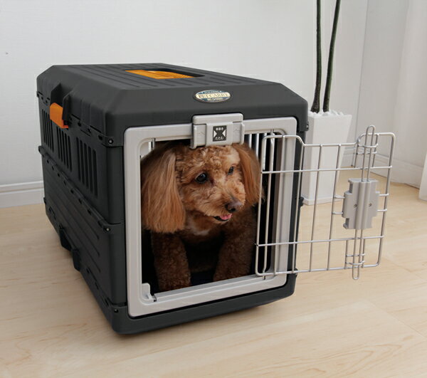 ペット キャリー ケージ クレート ハウス おおきめ 畳める 折りたたみ 大きめ しっかり 災害避難 スペース スペース確保 犬 猫 災害 地震 水害 洪水 火災 避難 病院 頑丈 安全確保 寝床 FC-670 ブラック 黒 オレンジ ゲージ お散歩 入れ物 アイリスオーヤマのサムネイル