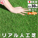 人工芝 ロール 2m×10m 芝丈30mm IP-30210 U字ピン48本付 人工芝 リアル人工芝 芝生 人工芝マット 芝生マット 200cm×1000cm 芝丈3cm 人工芝ロール 芝生 庭 テラス バルコニーアイリスオーヤマ