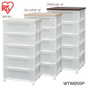 チェスト キャスター付き 完成品 5段 アイリスオーヤマ 収納ボックス 収納ケース 衣類収納 衣類収納ボックス 衣類収納チェスト 洋服収納 引き出し プラスチッ...