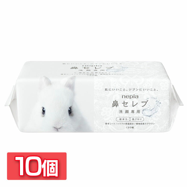 ��10�ĥ��åȡۥե�������륿���� �Ȥ��Τ� ���� �ͥԥ� ɡ����� �������� 240���120�ȡ� 541338 ɡ����� ȩ ���� �ե����� ������ �ѥ��...