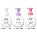 手洗い 石けん 殺菌+消毒 キレイキレイ 薬用泡ハンドソープ 本体 大型 大容量 500ml キレイキレイ LION