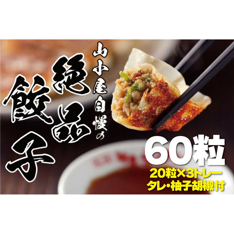 収納・家具・寝具の収納宅配館の山小屋からの贈り物冷凍生ぎょうざ ぎょうざ 筑豊 セット 山小屋 冷凍 セット タレ付き 柚子胡椒 本格的 簡単 ワイエスフード（株） 【TD】 【代引不可】[2608SX]｜アングル3
