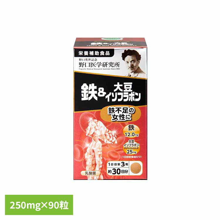 鉄＆大豆イソフラボン90T（250mg×90粒） サプリ 鉄分 大豆 イソフラボン 【B】