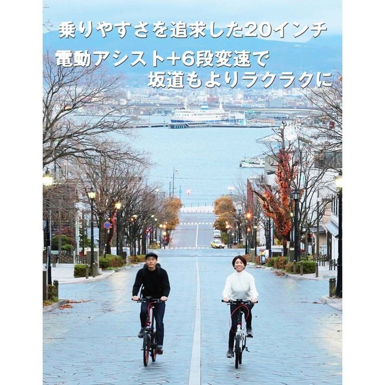 TRANS MOBILLY NEXT 206 ダークベージュ 92216-0599自転車 電動 折畳み 旅行 軽い ...