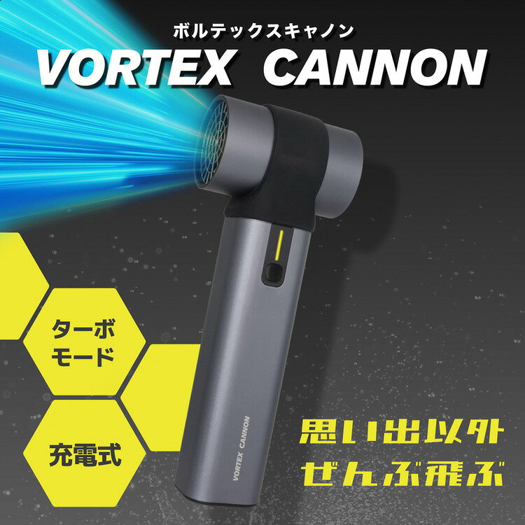 収納・家具・寝具の収納宅配館のvoltexcanon　強力エアーブロアー BLY0301GRブロアー ハンディ 充電式 ターボモード 【B】｜アングル2