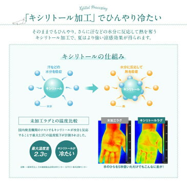 ラグマット 夏用 ラグ 夏 3畳 mofua cool マイナス2℃ 日本製さらっとひんやり涼感ラグ（キシリトール加工） 185×240cm らぐ ラグ ひんやり ヒンヤリ 涼しい 涼 夏 なつ 冷感 れいかん 絨毯 マット 全4色【TD】【2019夏】【取り寄せ品】