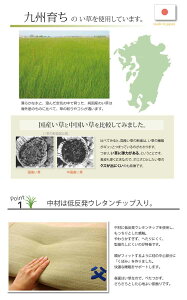 【 ギフト】 プレゼント 実用的 枕 い草枕 消臭 国産 『おとこの枕 くぼみ平枕』 約50×30cm 中材:低反発ウレタンチップ お昼寝 まくら マクラ イケヒコ・コーポレーション 【TD】