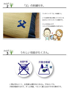 【 ギフト】 プレゼント 実用的 枕 い草枕 消臭 国産 『おとこの枕 くぼみ平枕』 約50×30cm 中材:低反発ウレタンチップ お昼寝 まくら マクラ イケヒコ・コーポレーション 【TD】