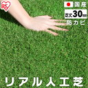 [最大P12倍!楽天お買い物マラソン!～4/27 10時迄]人工芝 ロール 1m×2m 芝丈30mm IP-3012 国産 人工芝 リアル人工芝 国産人工芝 人工芝生 芝生 芝マット 100cm×200cm 芝丈3cm 人工芝ロール 芝生 テラス バルコニー ガーデン