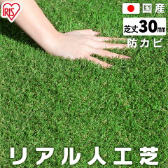 https://thumbnail.image.rakuten.co.jp/@0_mall/rack-kan/cabinet/tasya60/7158414.jpg