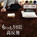 [25日限定!最大P19倍]ラグ 厚手 2.5畳 高反発 185×185 フランネルラグ ラグ ラグマット カーペット 絨毯 高反発 クッション 185×185cm 185 滑り止め 防音 遮音 防ダニ ケガ防止 ペット 正方形 20mm グリーン ブラウン ベージュ ネイビー【D】