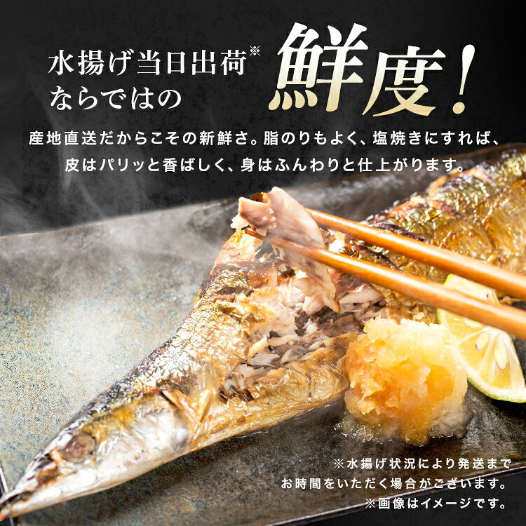 収納・家具・寝具の収納宅配館の生さんま 三陸 気仙沼 冷蔵 塩焼き 阿部長 三陸・気仙沼産 とれどき三陸 【TD】 【代引不可】｜アングル3