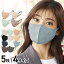 ڥ᡼ءDAILY FIT MASK Ω 5(ۥ磻ȤΤ7) RK-F5XSSML  դĤ դĤ磻 äޥ ʴ 륹  ٶ PM2.5  ʴ Ω  Ҥ Կ 顼ޥ  ꥹ[p2][HX1020]