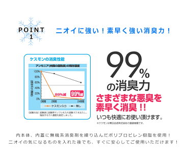 【送料無料】デオライド 10【クーラーボックス　レジャー アウトドア 釣り イベント 行事 スポーツ 部活 小型 保冷 保冷バッグ 消臭 防災 ストッカー キャンプ 行楽 トランク 軽量 熱中症 対策】