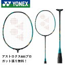 ڥå塦ĥ̵YONEX ͥå Хɥߥȥ Хɥߥȥ饱å ȥ88Sץ AX88S-P