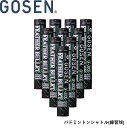 【10ダース】【練習球】ゴーセン GOSEN シャトル フェザーバレット GF-3000 バドミントン