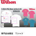 【ポスト投函】ウイルソン Wilson ウエア 専門店会限定Tシャツ WRBJ235 バドミントン