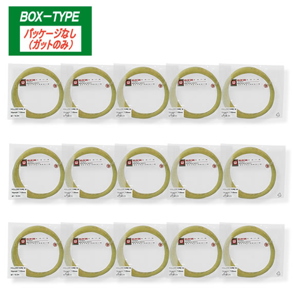 HOLLOW　CORE　16　ノンパッケージ15張SET（Z93600015PK）