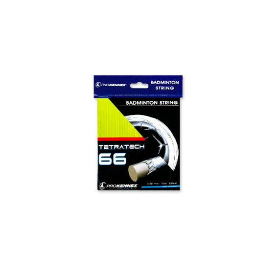 TETRATECH　66（AYSG0801）