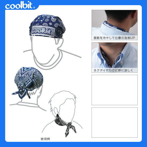 ������ӥå� �ƥ˥����������ꡦ��ʪ ������ϥ󥫥���hch001��