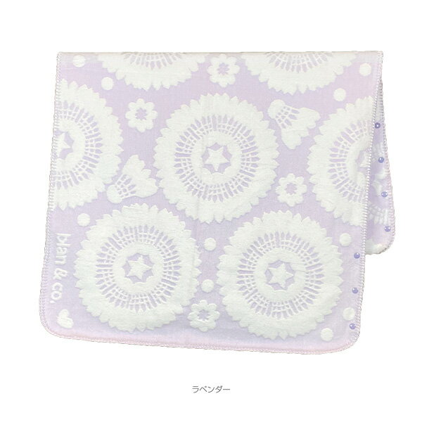 blan �� co. �Хɥߥ�ȥ󥢥������ꡦ��ʪ ������ܥ����դ��Ҥ��ݤ� ����ȥ�ե� BCB005