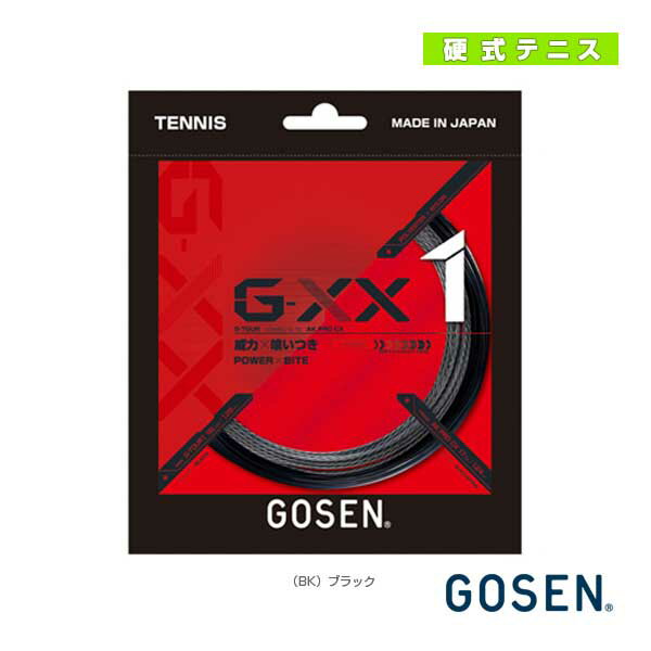 ジーダブルエックス1 16L／G-XX1 16L（TSGX11）