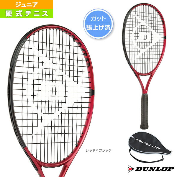 ヘッド（HEAD）（キッズ）ジュニア 硬式用テニスラケット 234022 IG Speed Jr. 23 23インチ