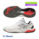 ミズノ（MIZUNO）（メンズ、レディース）バドミントンシューズ ウエーブクロー3 FIT 71GA244221