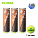 St.JAMES／セントジェームス『4球入×3缶』テニスボール（STJAMES3PACK）