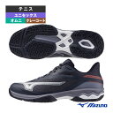 【本日限りポイント5倍】ミズノ テニスシューズ ウエーブエクシードコート ワイド OC WAVE EXCEED COURT WIDE OC オムニ・クレー用 ユニセックス 61GB2518