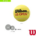 ウィルソン テニスアクセサリ・小物 USオープン ミニ ジャンボ ボール US OPEN MINI JUMBO BALL WRT1415U(4)