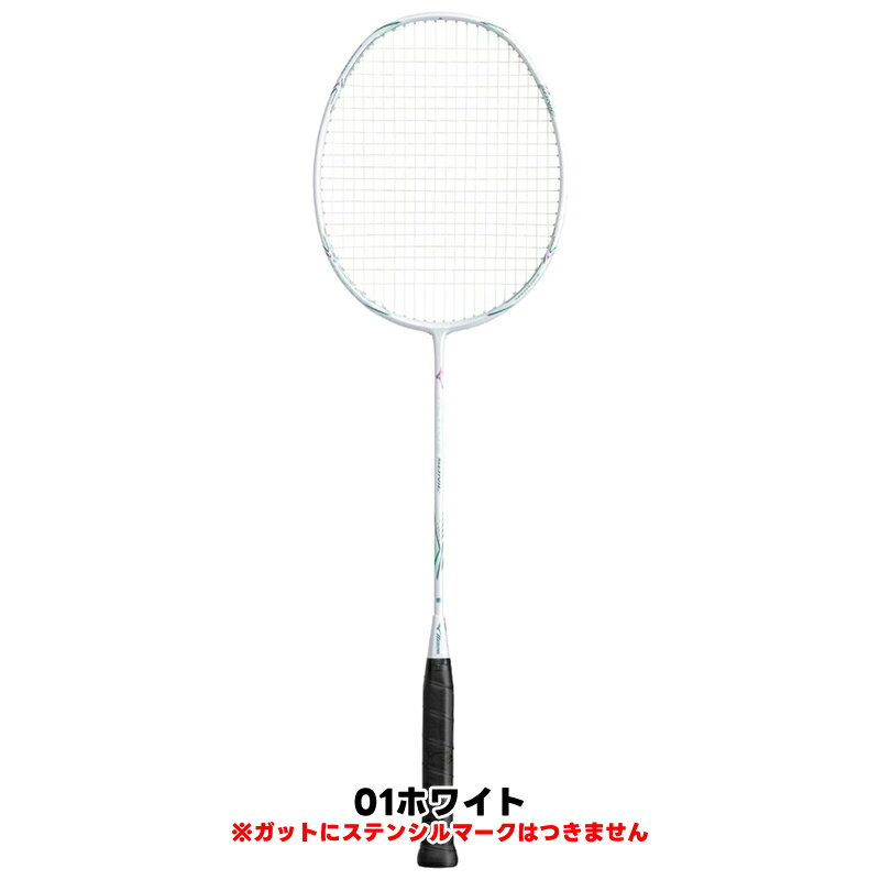 バドミントン 初心者用セット 5点セット ミズノ MIZUNO ラケット 73JTB609 初心者 ...