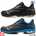 ソフトテニス シューズ ミズノ MIZUNO ウエーブエクシ