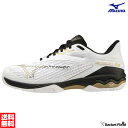 ソフトテニス シューズ ミズノ MIZUNO ウエーブエクシードライト 2 SW OC 61GB2319 幅4E クレー・砂入り人工芝コート ソフトテニス シュ...