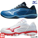 バドミントンシューズ ミズノ MIZUNO バドミントン シューズ ウエーブクロー2 71GA2110 3E バドミントン シューズ ミズノ シューズ badminton shoes