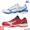 バドミントンシューズ ミズノ MIZUNO バドミントン シューズ ウェーブクロー［ユニセックス］（71GA1915) 3E バドミントン シューズ ミズノ シューズ badminton shoes