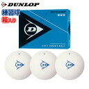 ソフトテニス ボール ダンロップ DUNLOP ソフトテニスボール 練習球 1ダース テニス ソフトテニス 軟式テニス 練習 ボール テニスボール ソフトテニスボール 軟式テニスボール 練習 soft tennis ball racketfield