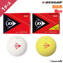 ソフトテニス ボール ダンロップ DUNLOP ソフトテニスボール 公認試合球 1ダース 箱入り DSTB2DOZ DSTBYL2DOZ テニス ソフトテニス 軟式テニス ボール テニスボール ソフトテニスボール 軟式テニスボール soft tennis ball