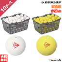 ソフトテニス ボール ダンロップ DUNLOP ソフトテニスボール 公認試合球 カゴ入り 10ダース DSTB2CS120 DSTBYL2CS120 軟式テニス 送料無料 専門店 soft tennis ball