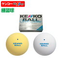 ソフトテニス ボール ケンコー KENKO ソフトテニスボール 練習球 1ダース【ソフトテニスボール練習球 軟式テニス 練…