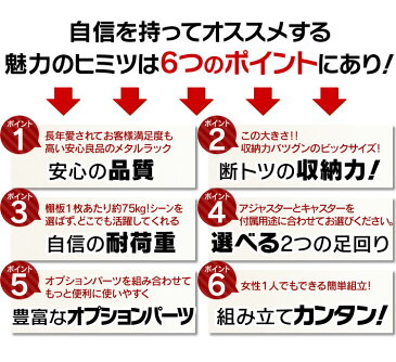 ハンガーラック メタルラック 5段 SE-1218 幅120 奥行46 高さ183送料無料 スチールラック ラック メタル メタルシェルフ ワイヤーシェルフ ワイヤーラック ラック シェルフ 収納 アイリスオーヤマ