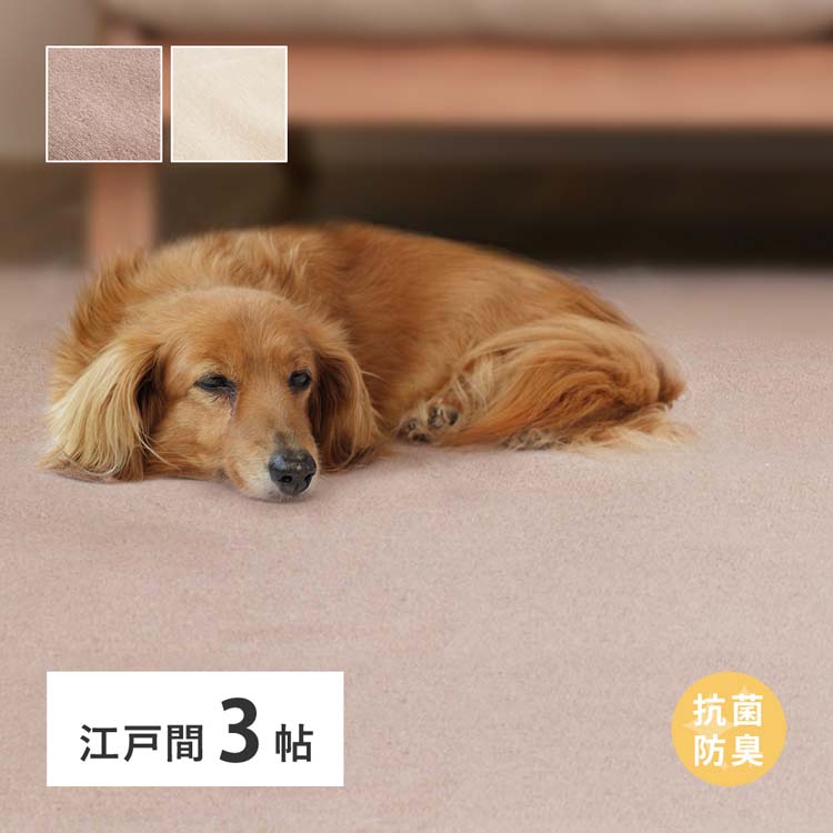 Rakuten - 柔らかパイルの抗菌カーペット　シエロ　江戸間3畳 600094530カーペット ラグマット 絨毯 江戸間 抗菌 防臭 ホットカーペット対応 リビング フローリング ブラウン アイボリー【TD】 【代引不可】